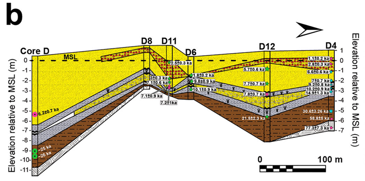 Section of Dor