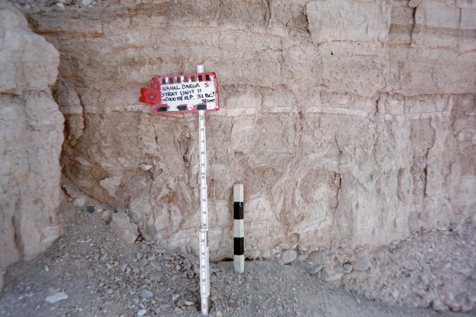 Possible 31 BCE Seismite at Nahal Darga 